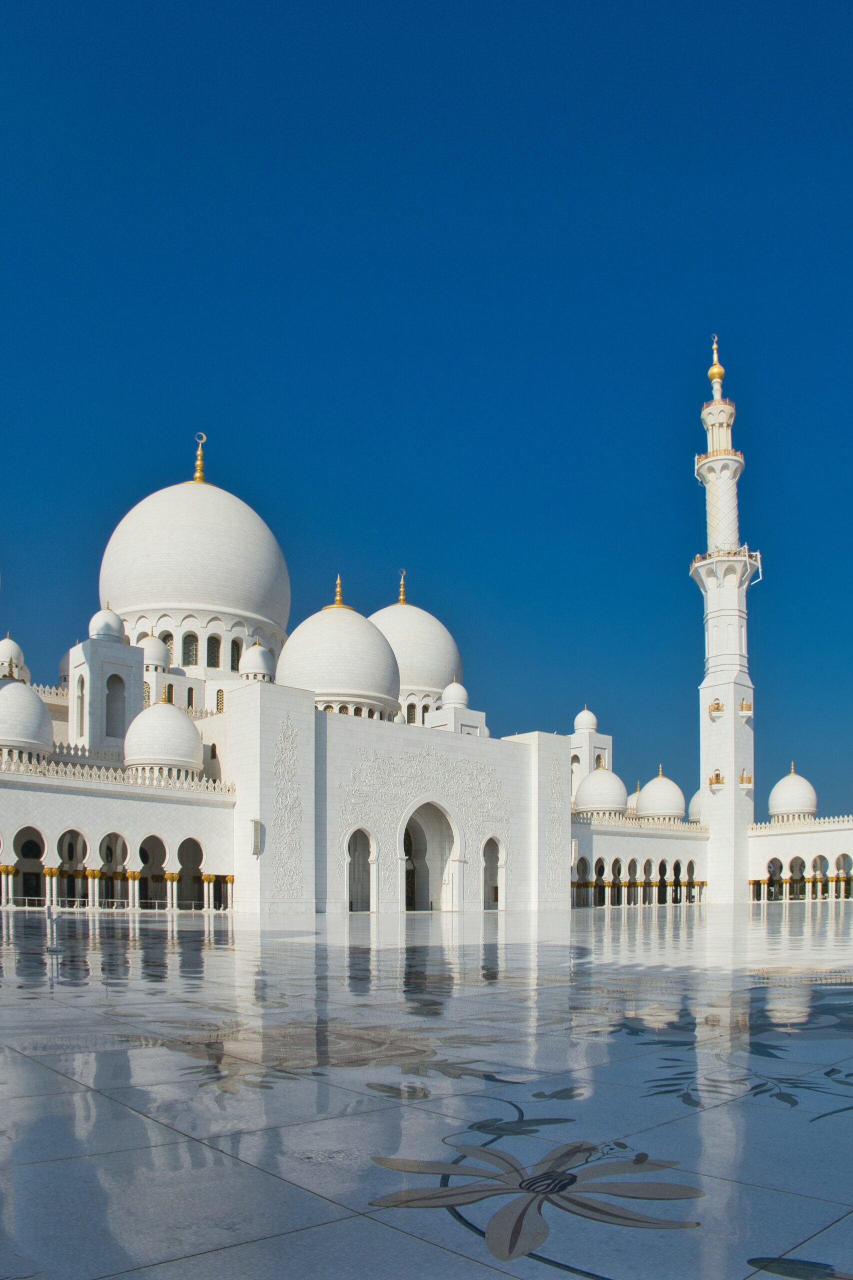 معلومات عن جمعية رفادة الخيرية