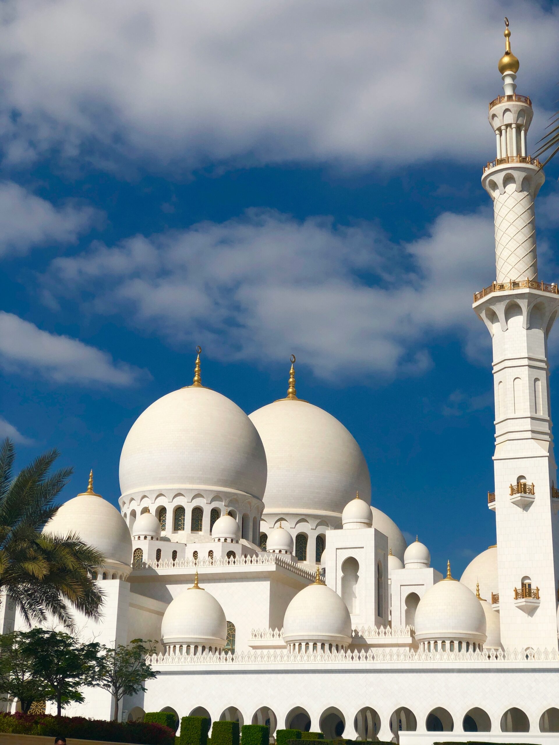 الأمانة في العمل - العمل بروح الفريق- العدالة المهنية - الشفافية – الجودة- المصداقية 