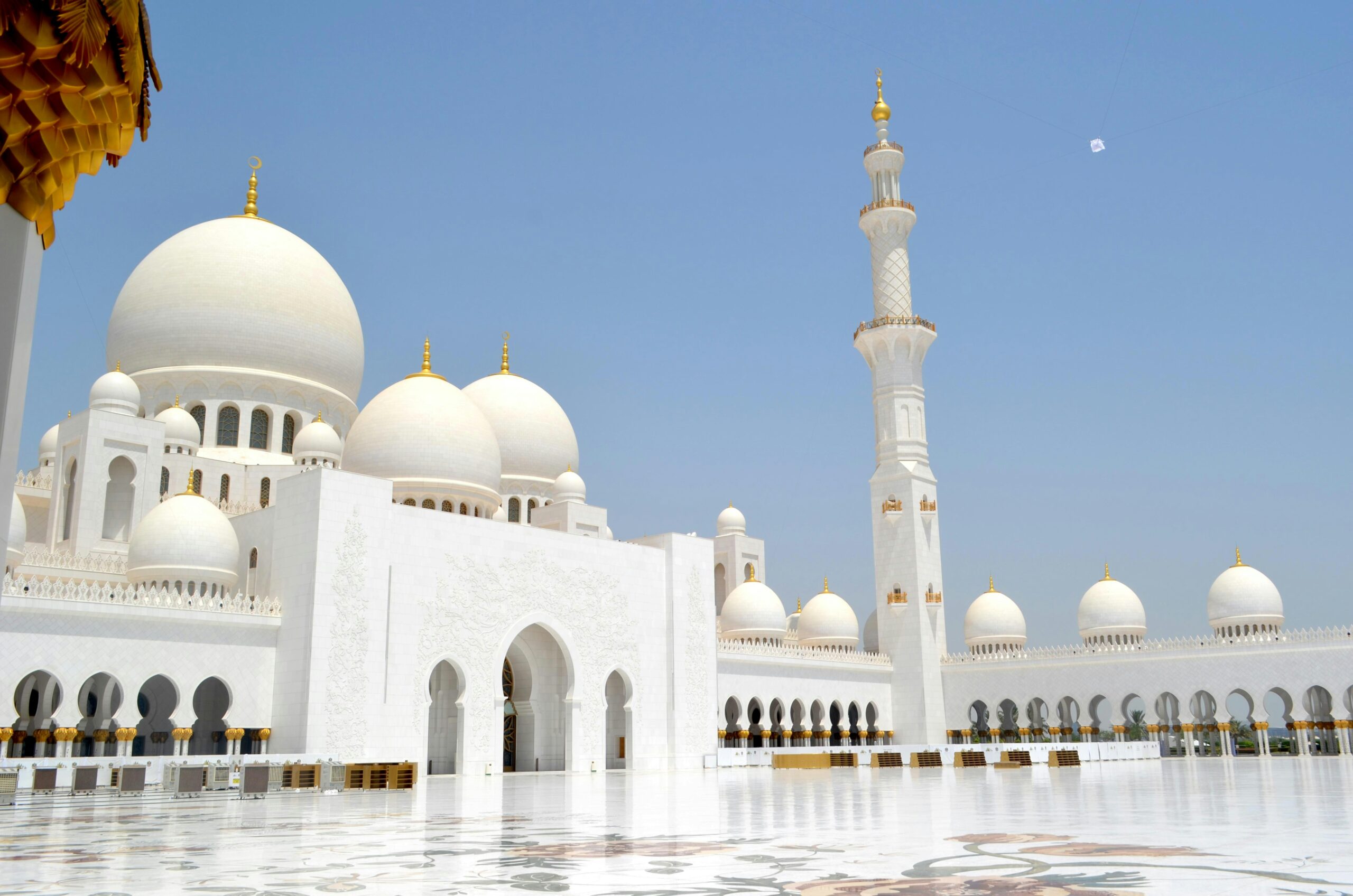 جمعية رفادة الخيرية